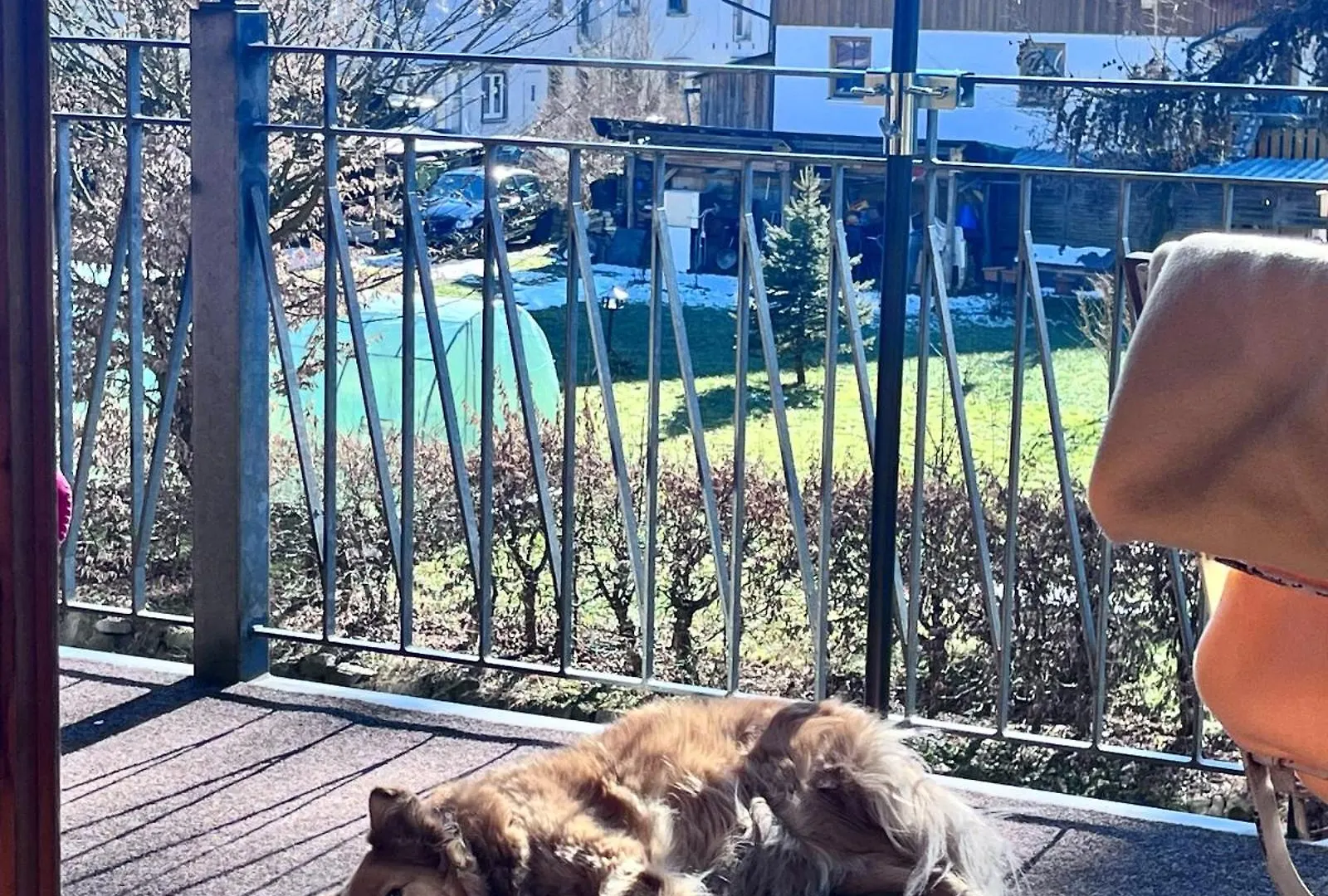 Apartment Allgaeuloft Im Sennhof Weiler-Simmerberg